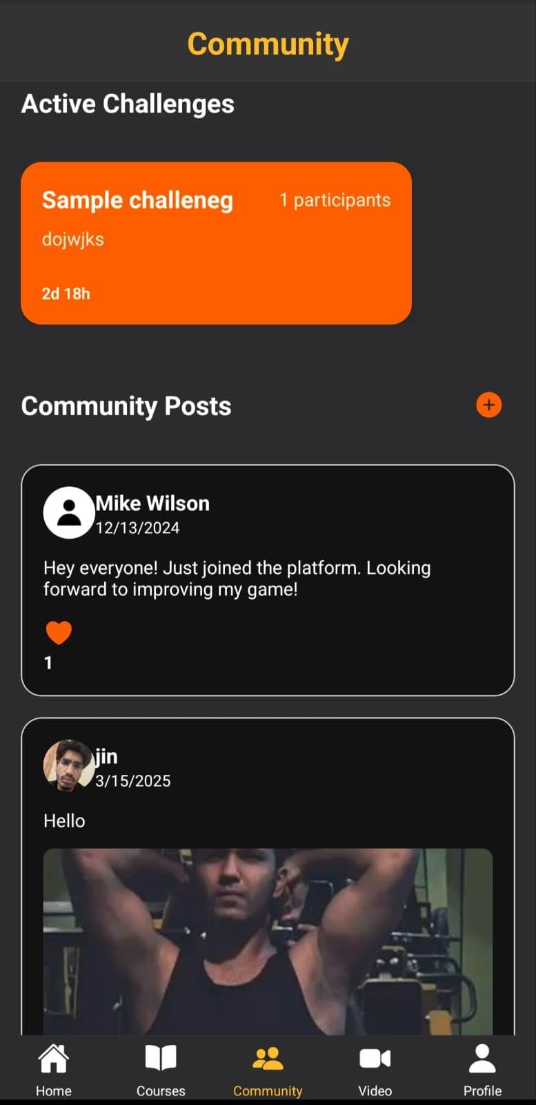 Community feed showing weekly challenges and player posts